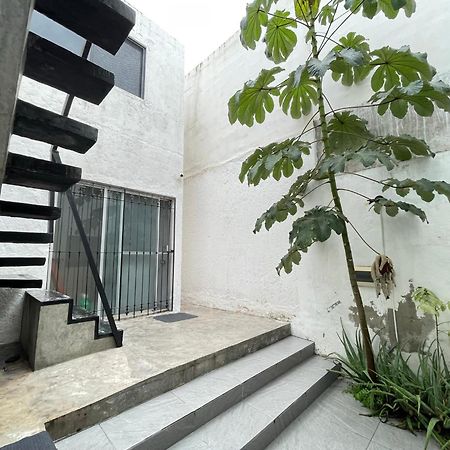 Casa Y Departamentos Lavanda Mérida Extérieur photo