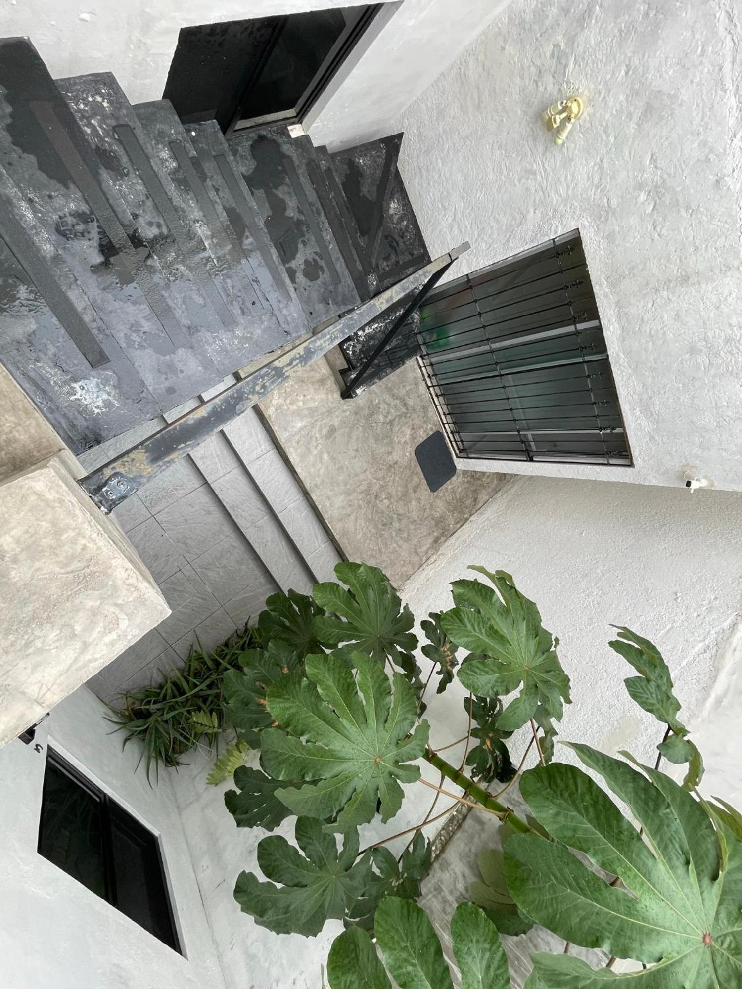 Casa Y Departamentos Lavanda Mérida Extérieur photo
